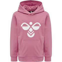 hummel hmlCUATRO Hoodie Kinder heather rose 110
