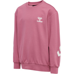 hummel hmlVENTI Trainingsanzug Kinder heather rose 122