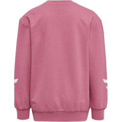 hummel hmlVENTI Trainingsanzug Kinder heather rose 146