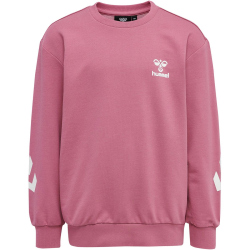 hummel hmlVENTI Trainingsanzug Kinder heather rose 164