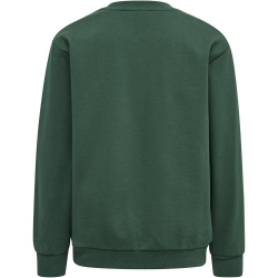 hummel hmlNEW SPRING Trainingsanzug Kinder trekking green 152