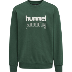 hummel hmlNEW SPRING Trainingsanzug Kinder trekking green 152