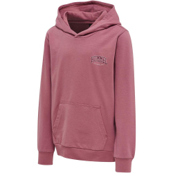hummel hmlFAST Hoodie Kinder mesa rose 164