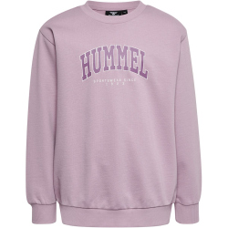 hummel hmlFAST Sweatshirt Kinder mauve shadow 104