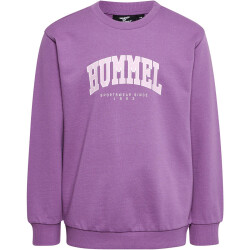 hummel hmlFAST Sweatshirt Kinder argyle purple 104