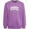 hummel hmlFAST Sweatshirt Kinder argyle purple 104