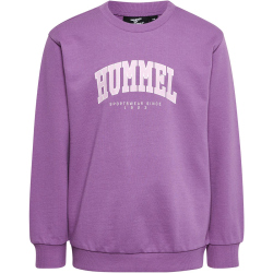 hummel hmlFAST Sweatshirt Kinder argyle purple 110