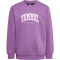 hummel hmlFAST Sweatshirt Kinder argyle purple 110