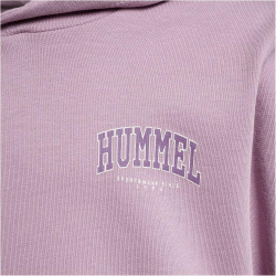 hummel hmlFAST Hoodie Kinder mauve shadow 104