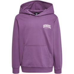 hummel hmlFAST Hoodie Kinder argyle purple 104