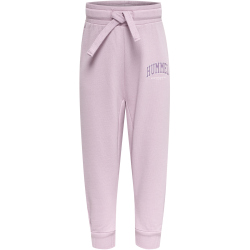 hummel hmlFAST APPLE Baby-Jogginghose mauve shadow 68