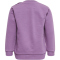 hummel hmlFAST LIME Baby-Sweatshirt argyle purple 56