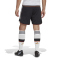 adidas DFB Deutschland Heimshorts Herren