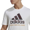 adidas DFB Deutschland DNA Graphic T-Shirt WM 2022 Herren white/black M