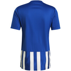 adidas Striped 21 Trikot Herren
