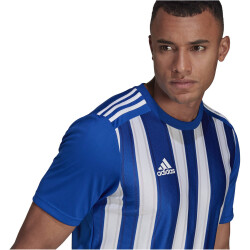 adidas Striped 21 Trikot Herren