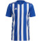 adidas Striped 21 Trikot Herren