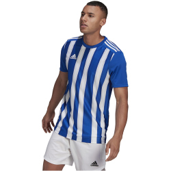 adidas Striped 21 Trikot Herren royblu/white S