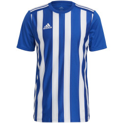 adidas Striped 21 Trikot Herren royblu/white S