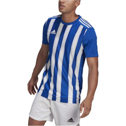 adidas Striped 21 Trikot Herren royblu/white S