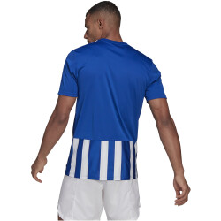 adidas Striped 21 Trikot Herren royblu/white S