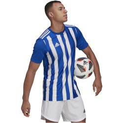 adidas Striped 21 Trikot Herren royblu/white S