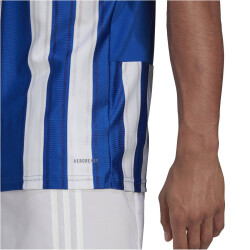 adidas Striped 21 Trikot Herren royblu/white S