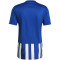 adidas Striped 21 Trikot Herren royblu/white S