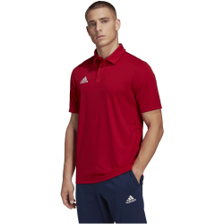 adidas Entrada 22 Poloshirt Herren tepore XS