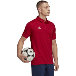 adidas Entrada 22 Poloshirt Herren tepore XS