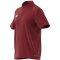 adidas Entrada 22 Poloshirt Herren tepore XS