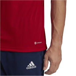 adidas Entrada 22 Poloshirt Herren tepore S