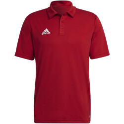 adidas Entrada 22 Poloshirt Herren tepore M