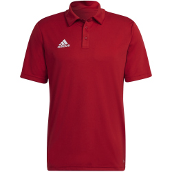 adidas Entrada 22 Poloshirt Herren tepore 3XL