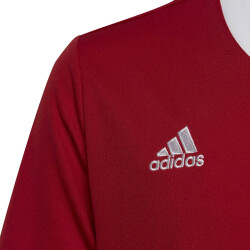 adidas Entrada 22 Trikot Kinder tepore 116