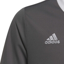 adidas Entrada 22 Trikot Kinder tegrfo 116