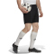 adidas Entrada 22 Fu&szlig;ball Shorts Herren 095A - black S