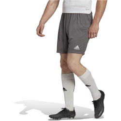 adidas Entrada 22 Fußball Shorts Herren H57505 - team grey four S