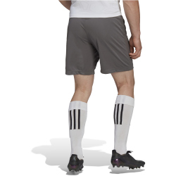 adidas Entrada 22 Fußball Shorts Herren H57505 - team grey four S