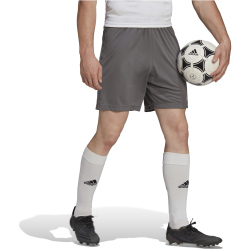 adidas Entrada 22 Fußball Shorts Herren H57505 - team grey four S