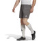 adidas Entrada 22 Fußball Shorts Herren AE2C - tegrfo XXL