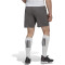 adidas Entrada 22 Fußball Shorts Herren AE2C - tegrfo XXL