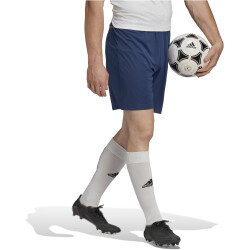 adidas Entrada 22 Fußball Shorts Herren AEQ1 - tenabl S