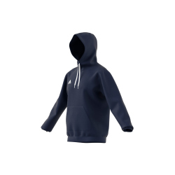 adidas Entrada 22 Hoodie Herren tenabl XL