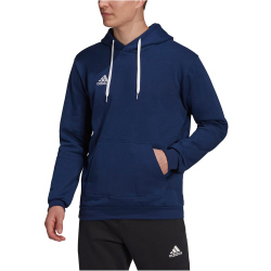 adidas Entrada 22 Hoodie Herren tenabl 3XL