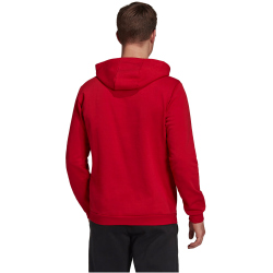 adidas Entrada 22 Hoodie Herren tepore XS