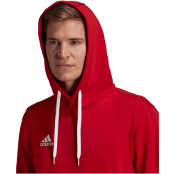 adidas Entrada 22 Hoodie Herren tepore XS
