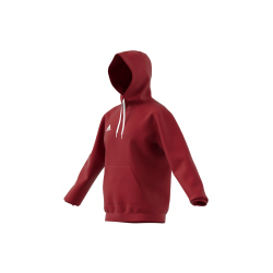 adidas Entrada 22 Hoodie Herren tepore XS