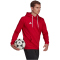 adidas Entrada 22 Hoodie Herren tepore XS