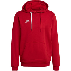 adidas Entrada 22 Hoodie Herren tepore L